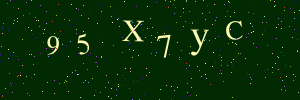 Validation image