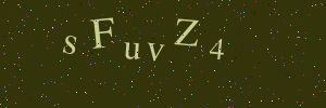 Validation image