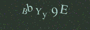 Validation image